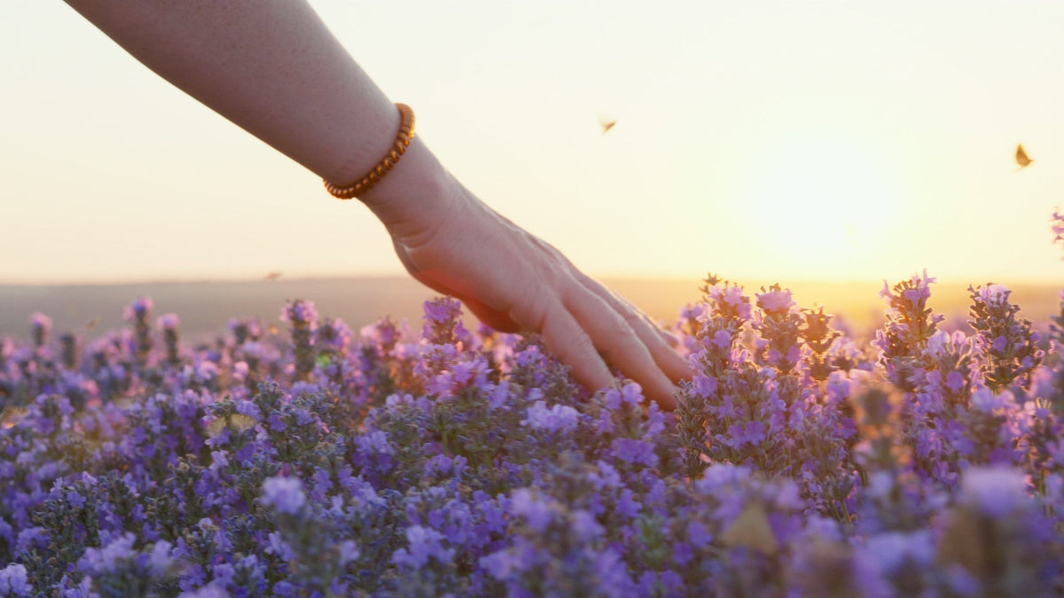 The Power of Terpenes