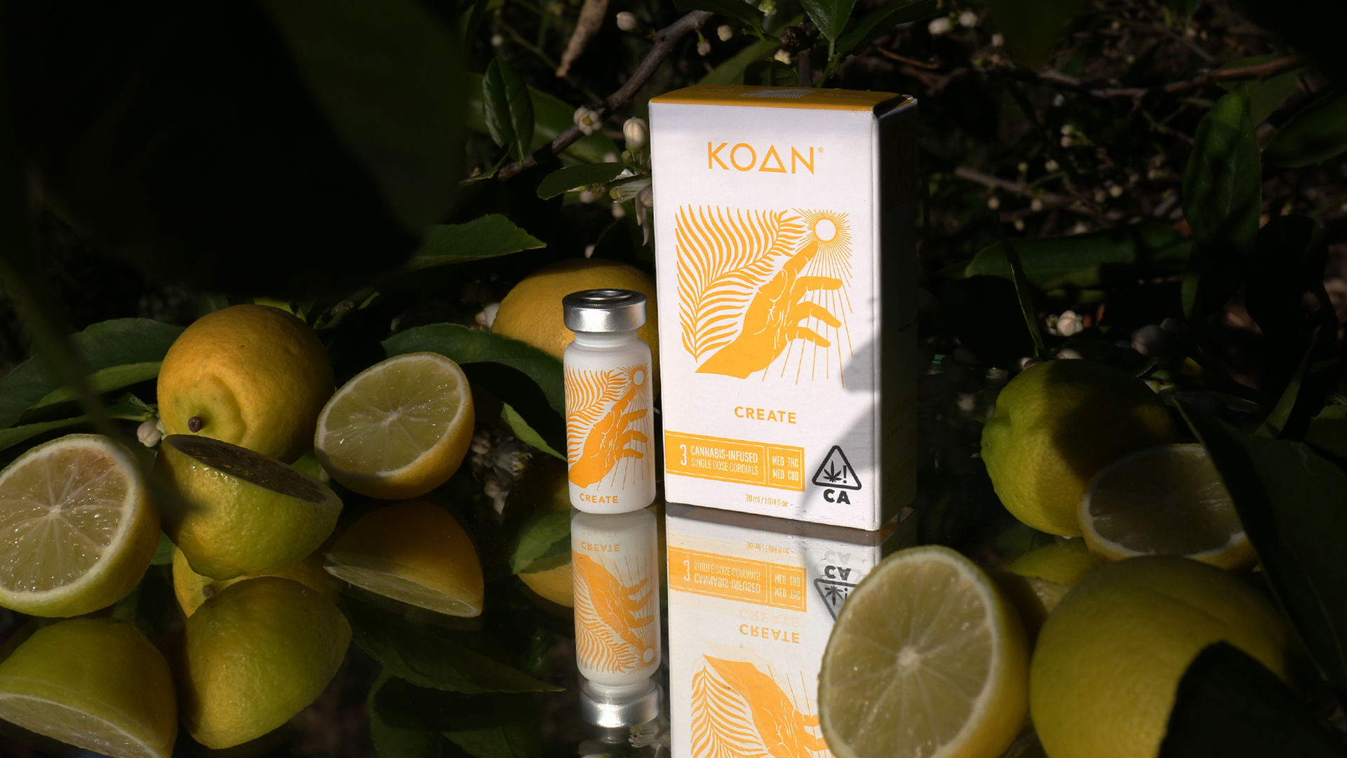Koan Create Cordial with lemons