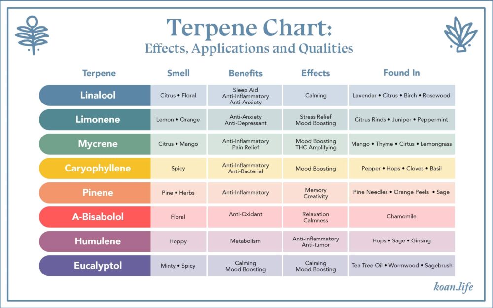 understanding-terpenes-your-guide-to-cannabis-terpenes-koan