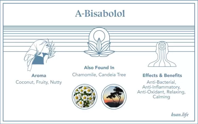 Koan's infographic on the terpene found in cannabis, a-bisabolol